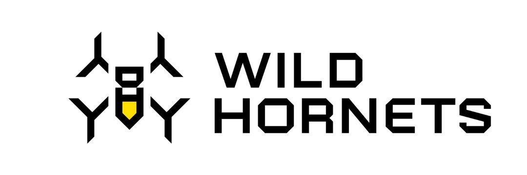 Wild Hornets | Dyki Shershni